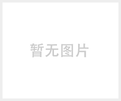 新EM-20I氧气报警仪