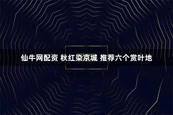仙牛网配资 秋红染京城 推荐六个赏叶地